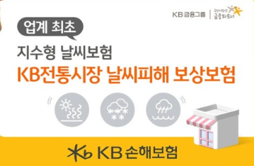 [오늘보험뉴스] KB손보, 강수량·기온만으로 보험금 산정…전통시장 지수형 보험 첫선 날씨보험